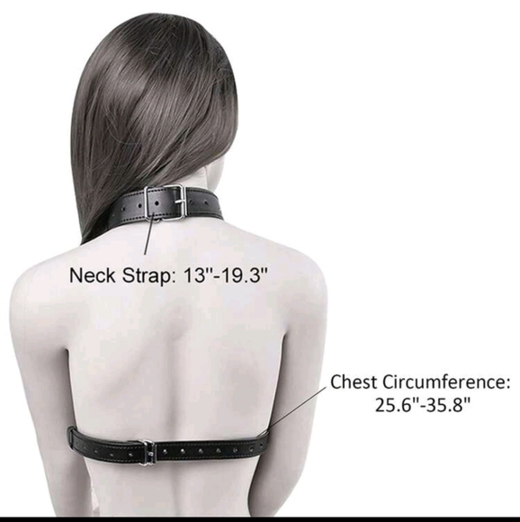 2pc BDSM Lingerie Set With Chest Harness + Gag With Attached Nipple Clamps (OS) - Picture 6 of 6